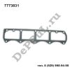 Прокладка клапанной крышки Fiat Bravo (95-01), Doblo (01-05), Scudo (07-…) (7773831 / DEBZ0060)